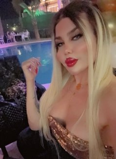 بيسو اللبناني - Transsexual escort in Erbil Photo 5 of 8