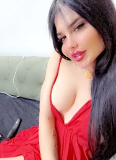 بيسو اللبناني - Transsexual escort in Erbil Photo 6 of 8