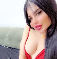 بيسو اللبناني - Acompañantes transexual in Erbil