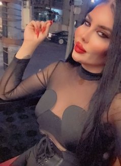 بيسو اللبناني - Acompañantes transexual in Erbil Photo 7 of 8