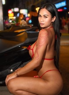 Biwty Charita - Acompañantes transexual in Pattaya Photo 2 of 6