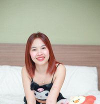 Biwty - escort in Al Manama