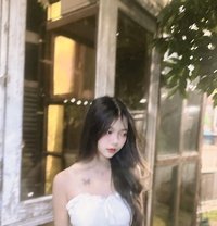BKK Escorts 4 You (250+ ladies) - escort agency in Bangkok Photo 15 of 15