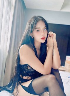 BKK Escorts 4 You (250+ ladies) - escort agency in Bangkok Photo 1 of 21