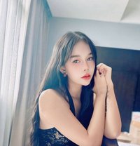 BKK Escorts 4 You (250+ ladies) - escort agency in Bangkok Photo 1 of 18