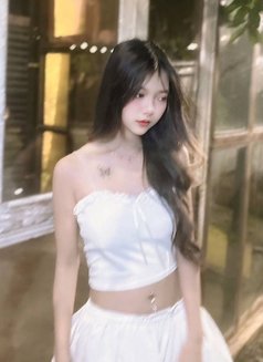 BKK Escorts 4 You (250+ ladies) - escort agency in Bangkok Photo 3 of 21