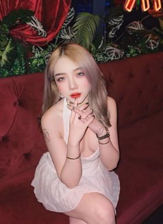 BKK Escorts 4 You (250+ ladies) - escort agency in Bangkok Photo 20 of 21
