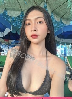 Bkk Escorts Buddy - escort agency in Bangkok Photo 12 of 14