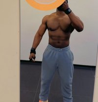 Black Horse - Male escort in Amsterdam