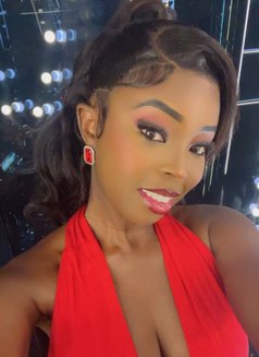 Black Ebony - escort in Dubai Photo 6 of 7