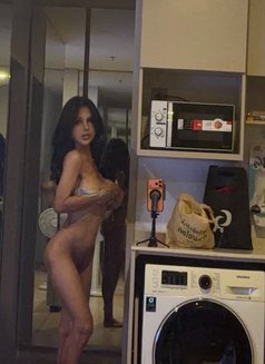 Black Lotus - Acompañantes transexual in Bangkok Photo 2 of 12