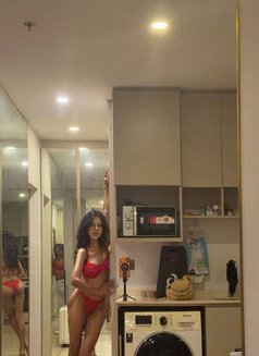 Black Lotus - Acompañantes transexual in Bangkok Photo 7 of 12