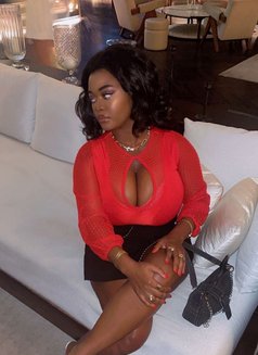 Black Mistress - puta in Dubai Photo 1 of 6