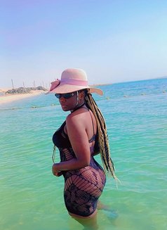 Black Noble (quinhadra ) - adult performer in Al Ain Photo 12 of 15