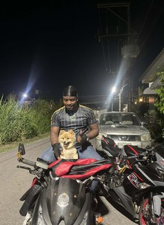 Black panther - Male adult performer in Phuket Photo 8 of 10