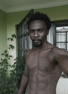 Black Stallion - Male escort in Mombasa Photo 1 of 1