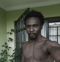 Black Stallion - Male escort in Mombasa