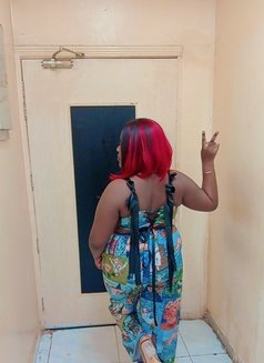Blackbeautychubby - escort in Muscat Photo 1 of 5
