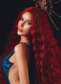 Blair (Last 2 days) - escort in Taipei Photo 15 of 15