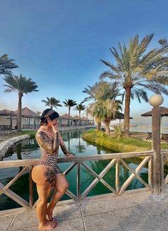 Blasian Thick Squirt baby - escort in Al Manama Photo 17 of 20