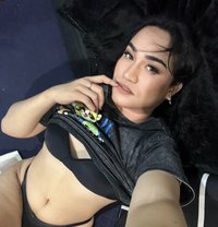 Blessy - Acompañantes transexual in Taipei
