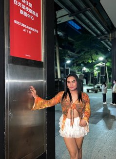 Blessy - Transsexual escort in Quezon Photo 10 of 11