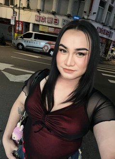 Blessy - Transsexual escort in Quezon Photo 17 of 19