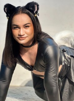 Blessy - Acompañantes transexual in Taipei Photo 9 of 12