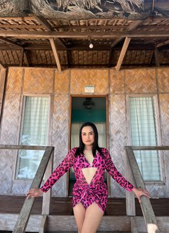 Blessy Is In babe 🦋 - Transsexual escort in Taipei Photo 19 of 23