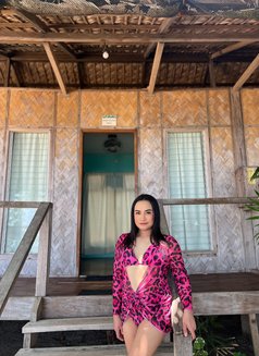 Blessy Is In babe 🦋 - Transsexual escort in Taipei Photo 23 of 23