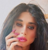 Tito - Agencia de acompañantes transexuales in Beirut