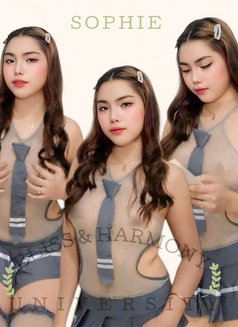 BLISS HARMONY HIGH END MODELS - escort in Manila Photo 2 of 13