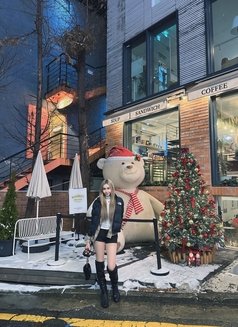 Aussie girl VVIP 🇦🇺 - escort in Seoul Photo 6 of 14