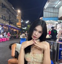 Blossom - Acompañantes transexual in Bangkok