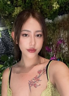 Blowjob Escorts Bangkok kara - escort in Bangkok Photo 26 of 27
