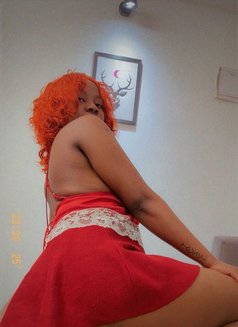 Blowjob Guru Nasheem in BTM - escort in Bangalore Photo 1 of 7