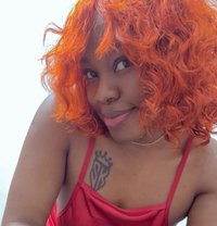 Blowjob Guru Nasheem in BTM - escort in Bangalore