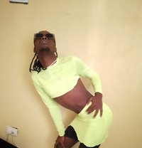 Blue Venom - Transsexual escort in Nairobi