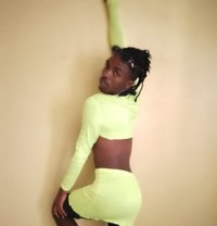 Blue Venom - Transsexual escort in Nairobi