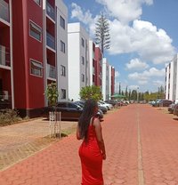 Blueberry - companion in Nairobi