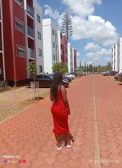 Blueberry - companion in Nairobi Photo 3 of 4