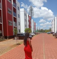 Blueberry - companion in Nairobi