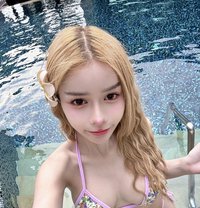 BoA - Acompañantes transexual in Bangkok