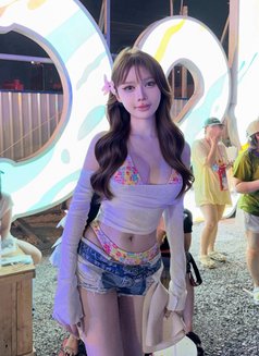 BoA - Acompañantes transexual in Bangkok Photo 27 of 28