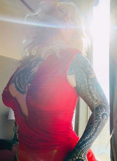 Bob B - escort in Okinawa Island Photo 11 of 17