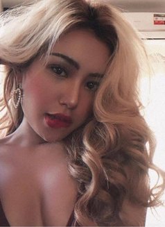 Bobo Ladyboy - Transsexual escort in Dubai Photo 1 of 13