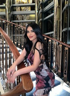 Bobo Ladyboy - Transsexual escort in Dubai Photo 7 of 12