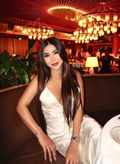 Bobos Shmale Strong - Acompañantes transexual in Dubai Photo 1 of 9