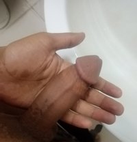 Boda - Male companion in Cairo