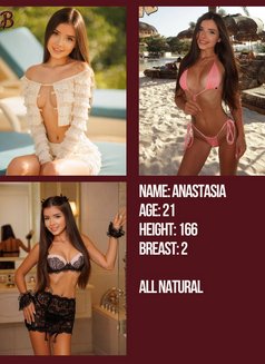 Bogema Royal - escort agency in Dubai Photo 8 of 8